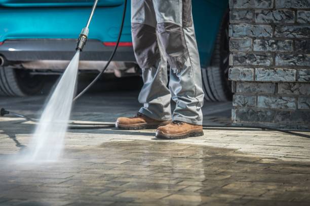 Best Roof Washing  in Brocton, NY
