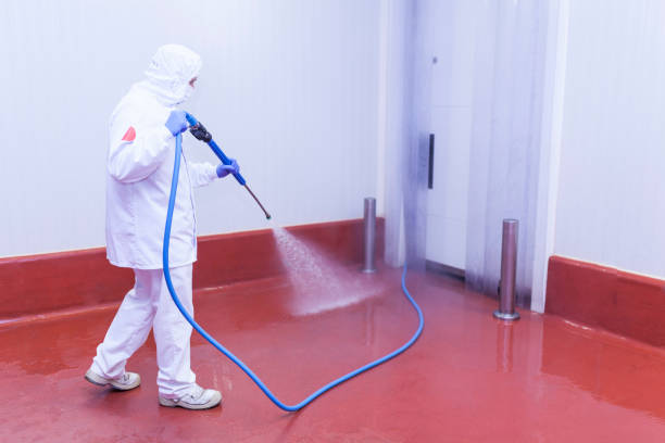 Best Winterizing Services  in Brocton, NY
