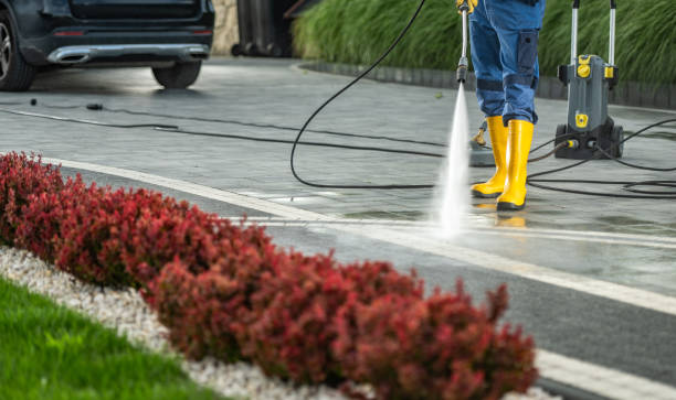 Best Driveway Pressure Washing  in Brocton, NY