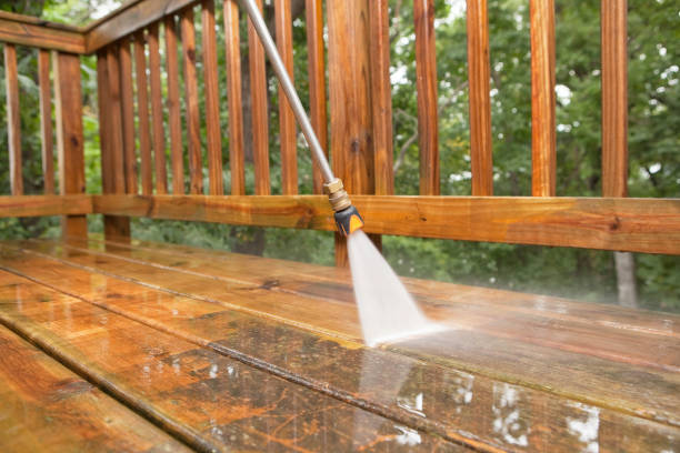Best Rust Removal  in Brocton, NY
