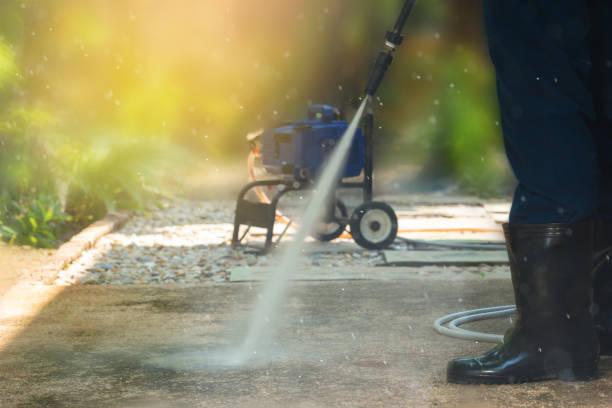 Best Solar Panel Cleaning  in Brocton, NY